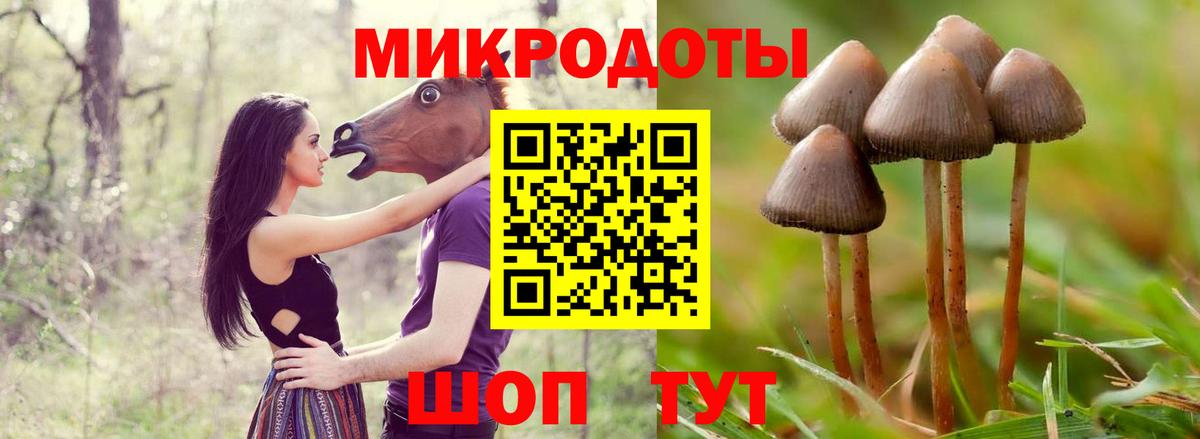 Красноярск  Галлюциногенные грибы Psilocybe  Вход с VPN 